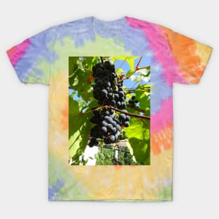 A bunch of black grapes under the blue sky T-Shirt